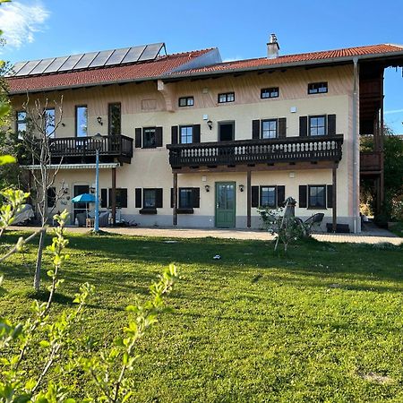 Black Horse Family Apartment - Barrierearm - Pfotenglueck - Familienzeit By Loewenherz Homes Stephanskirchen Dış mekan fotoğraf