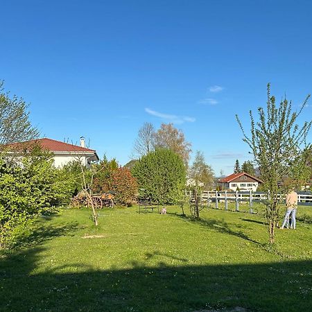Black Horse Family Apartment - Barrierearm - Pfotenglueck - Familienzeit By Loewenherz Homes Stephanskirchen Dış mekan fotoğraf